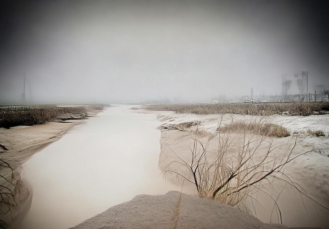 福登崛起之路：英超新星闪耀绿茵场(图2)