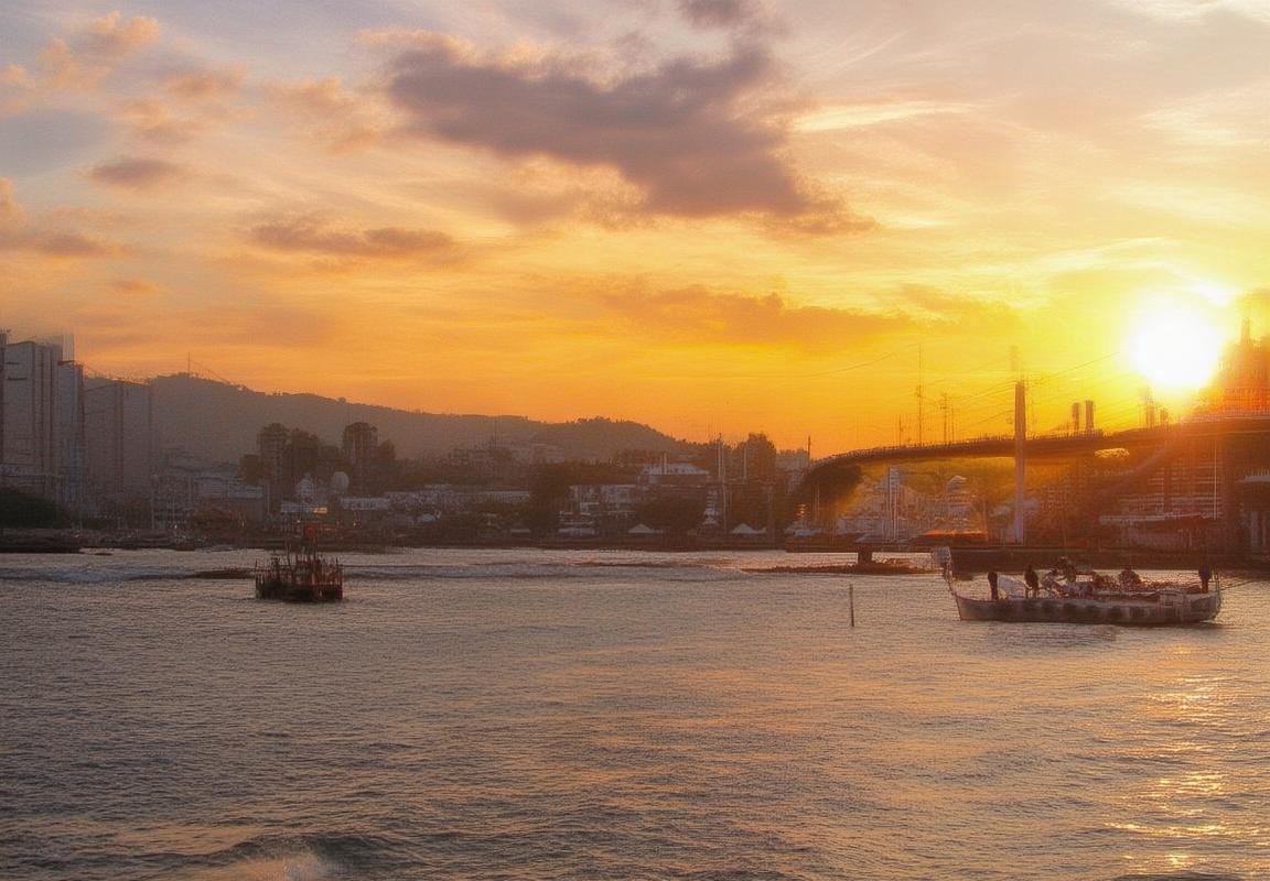 弗拉霍维奇：崛起之路与未来展望分析(图3)